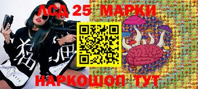 PSILOCYBIN Дубна