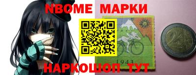 стафф Донецк